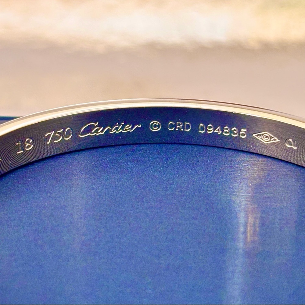 Luxury Silver Tone Bangle Bracelet With Screwdriver New - Picture 2 of 9